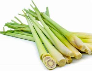 Lemongrass Herbal