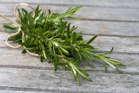 Rosemary Sprigs